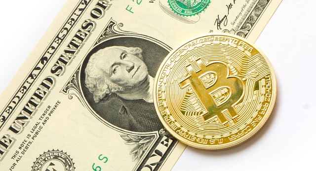 Halving de bitcoin